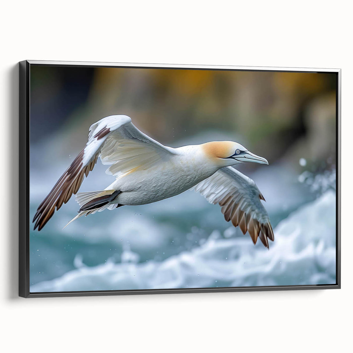 Framed wall art featuring a collection of colorful sea birds in a coastal setting, with a sleek black frame, perfect for enhancing marine-themed decor.