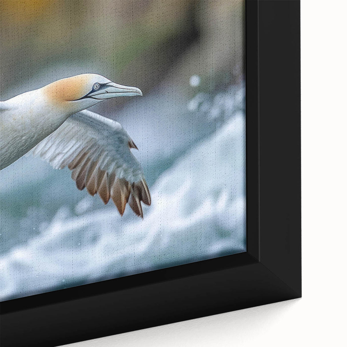 Framed canvas wall art showcasing a vibrant collection of sea bird designs, featuring intricate details and bright colors, ideal for coastal decor enthusiasts.
