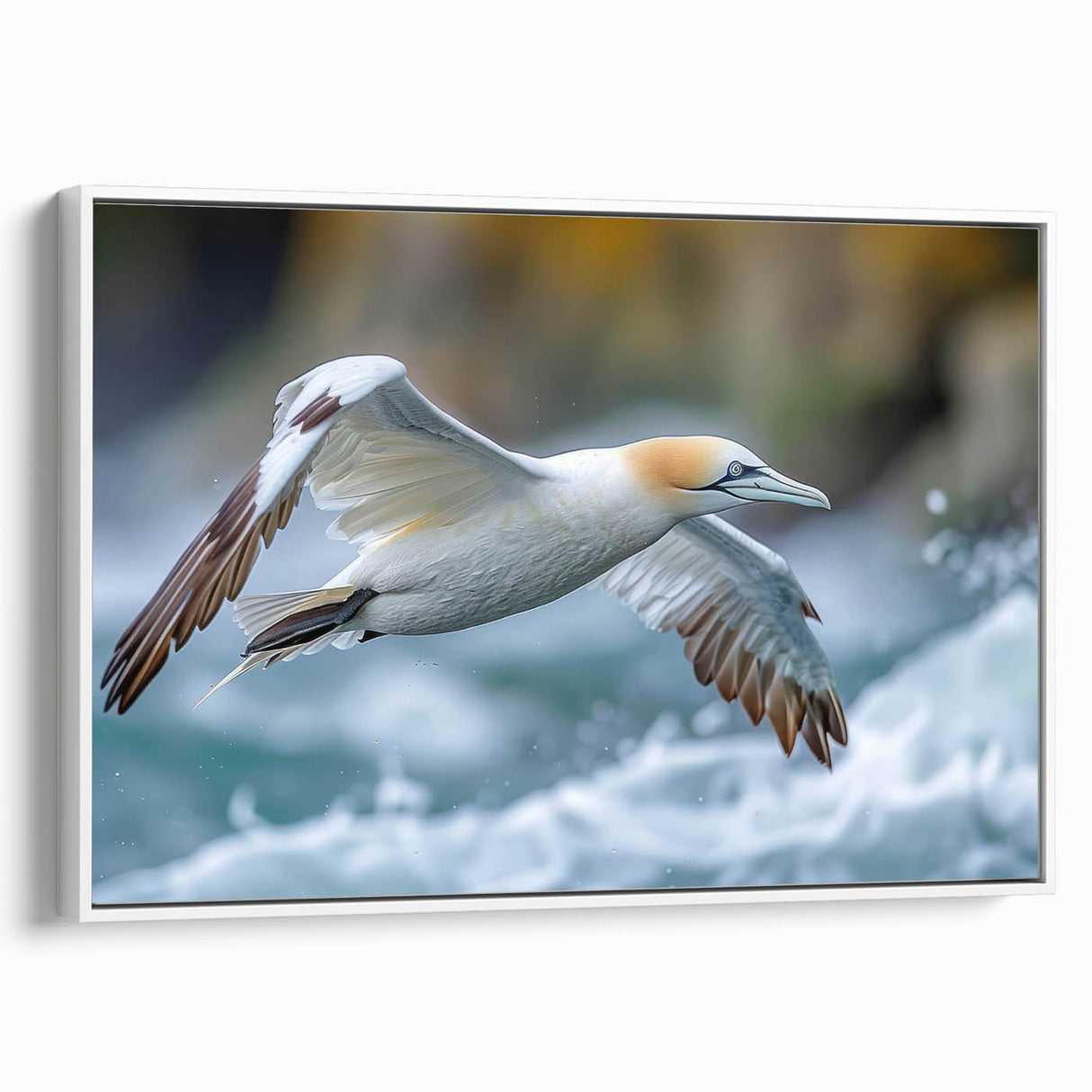 Framed canvas wall art showcasing a collection of vibrant sea bird designs in a white frame, displayed in a side view, perfect for coastal home decor.