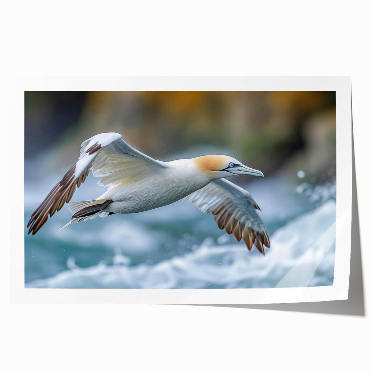 Colorful sea birds in flight adorn this rolled wall art print, showcasing intricate details and vibrant hues, perfect for coastal-themed decor.