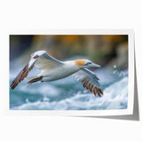 Colorful sea birds in flight adorn this rolled wall art print, showcasing intricate details and vibrant hues, perfect for coastal-themed decor.