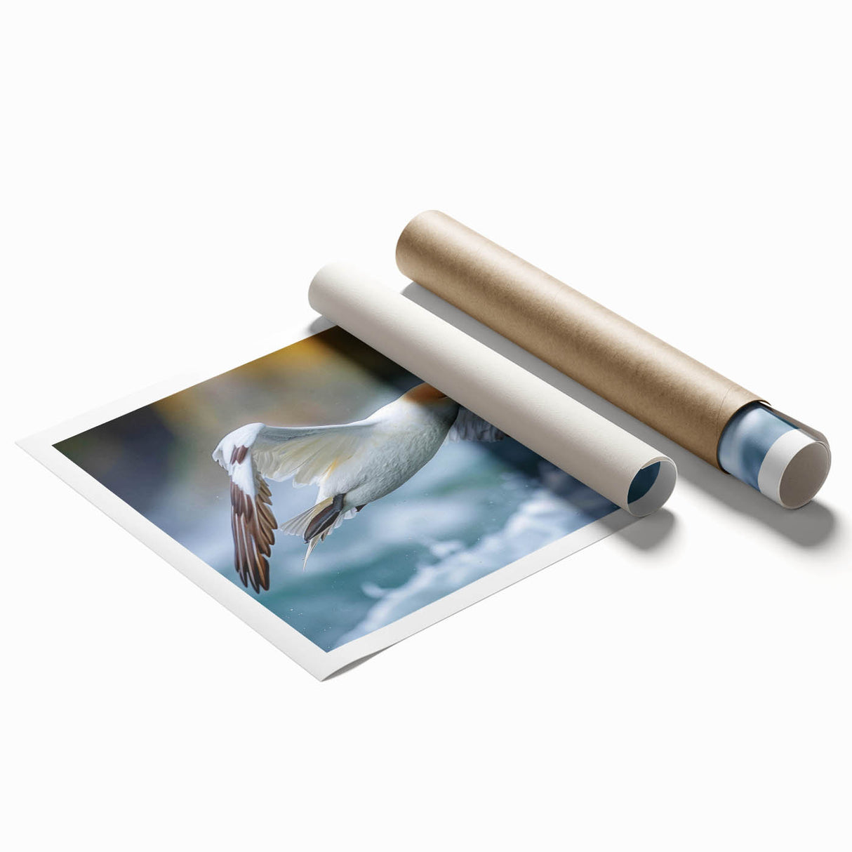 Vibrant rolled print showcasing a collection of sea birds in an artistic design, ideal for coastal-themed decor, packaged in a protective cardboard tube.