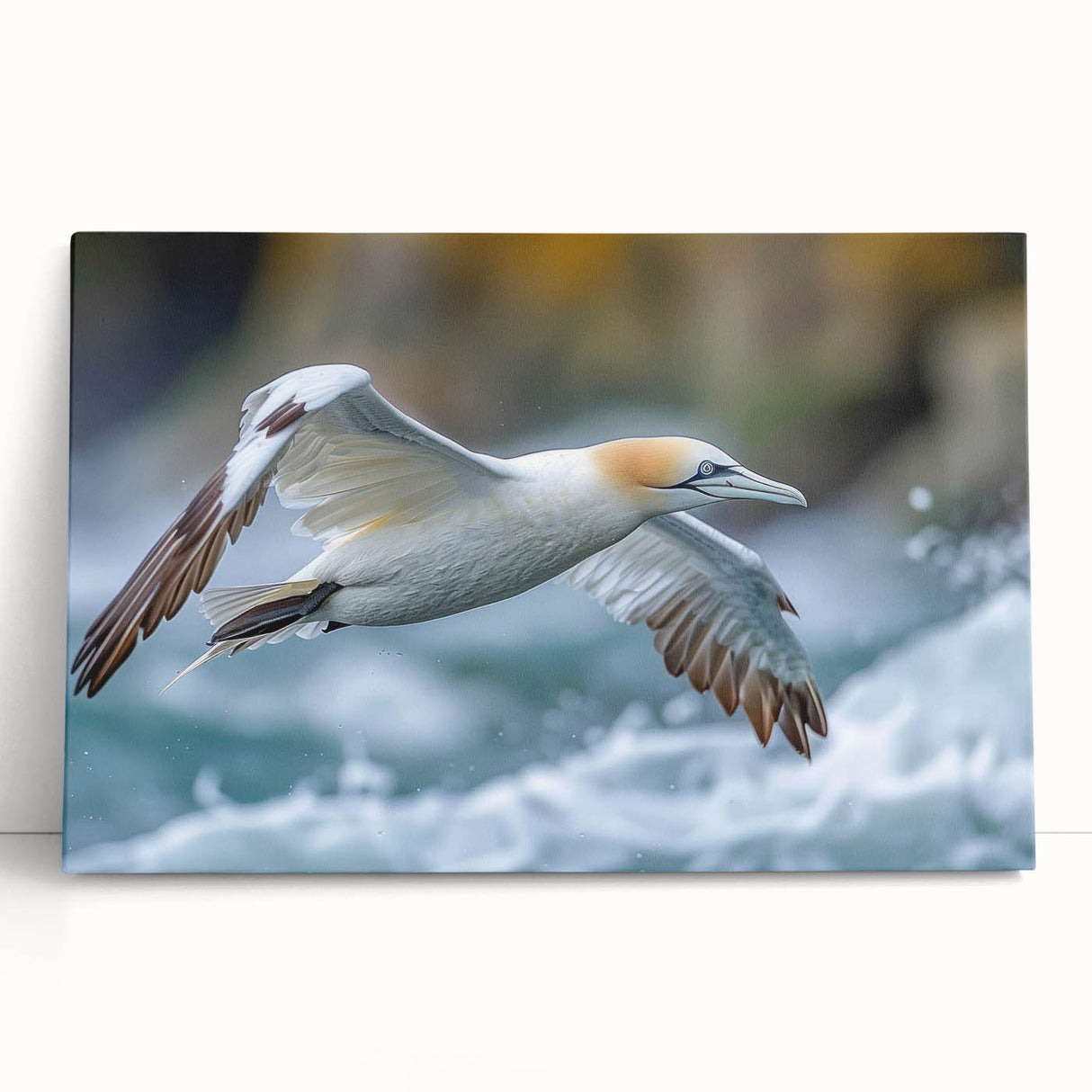 Colorful sea bird wall art collection featuring multiple species in a vibrant coastal setting, printed on stretched canvas, ideal for nautical-themed decor.