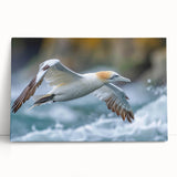 Colorful sea bird wall art collection featuring multiple species in a vibrant coastal setting, printed on stretched canvas, ideal for nautical-themed decor.
