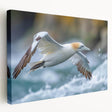 Stretched canvas wall art featuring a collection of vibrant sea birds in a coastal setting, showcasing detailed colors and textures, perfect for nature-inspired decor.
