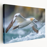 Stretched canvas wall art featuring a collection of vibrant sea birds in a coastal setting, showcasing detailed colors and textures, perfect for nature-inspired decor.