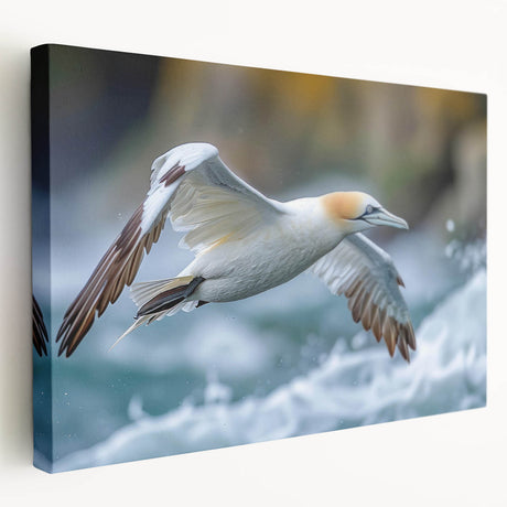 Stretched canvas wall art featuring a collection of vibrant sea birds in a coastal setting, showcasing detailed colors and textures, perfect for nature-inspired decor.