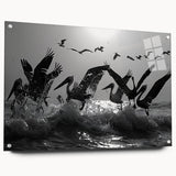 Stylish wall art collection showcasing vibrant sea bird designs printed on acrylic glass, featuring a side view with decorative pins for easy hanging.