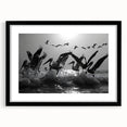 Framed wall art collection featuring a vibrant sea birds design in black frame with mat, showcasing colorful coastal birds against a serene background, ideal for coastal-themed decor.