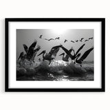 Framed wall art collection featuring a vibrant sea birds design in black frame with mat, showcasing colorful coastal birds against a serene background, ideal for coastal-themed decor.