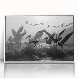Framed wall art design showcasing a vibrant collection of sea birds in a coastal setting, featuring a white frame that enhances the colorful artwork. Ideal for home decor.