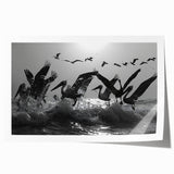 Colorful sea birds wall art collection featuring various bird species in a vibrant coastal setting, rolled for easy shipping and display. Perfect for enhancing marine-themed decor.