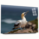 Close-up of a vibrant acrylic wall art collection featuring detailed designs of sea birds, displayed in a sleek side view without pins, ideal for coastal decor.