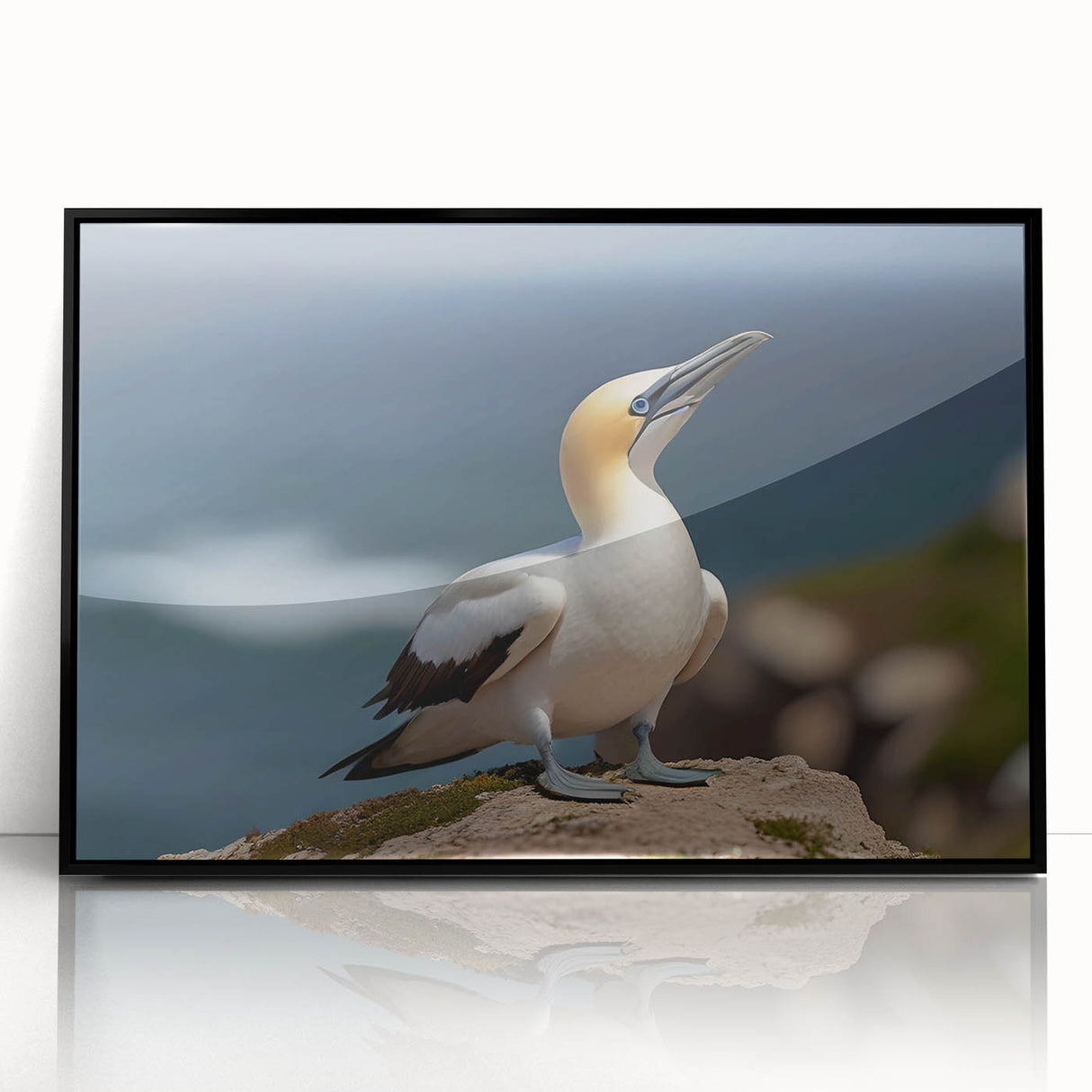 Framed wall art collection featuring a vibrant sea bird design in acrylic with a sleek black frame, perfect for coastal-themed decor or nature enthusiasts.