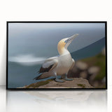 Framed wall art collection featuring a vibrant sea bird design in acrylic with a sleek black frame, perfect for coastal-themed decor or nature enthusiasts.