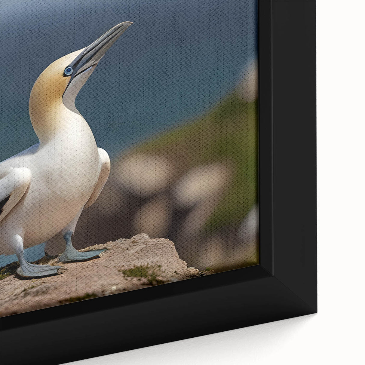 Framed close-up of a vibrant wall art collection showcasing various colorful sea birds, with intricate details and textures, perfect for coastal decor.