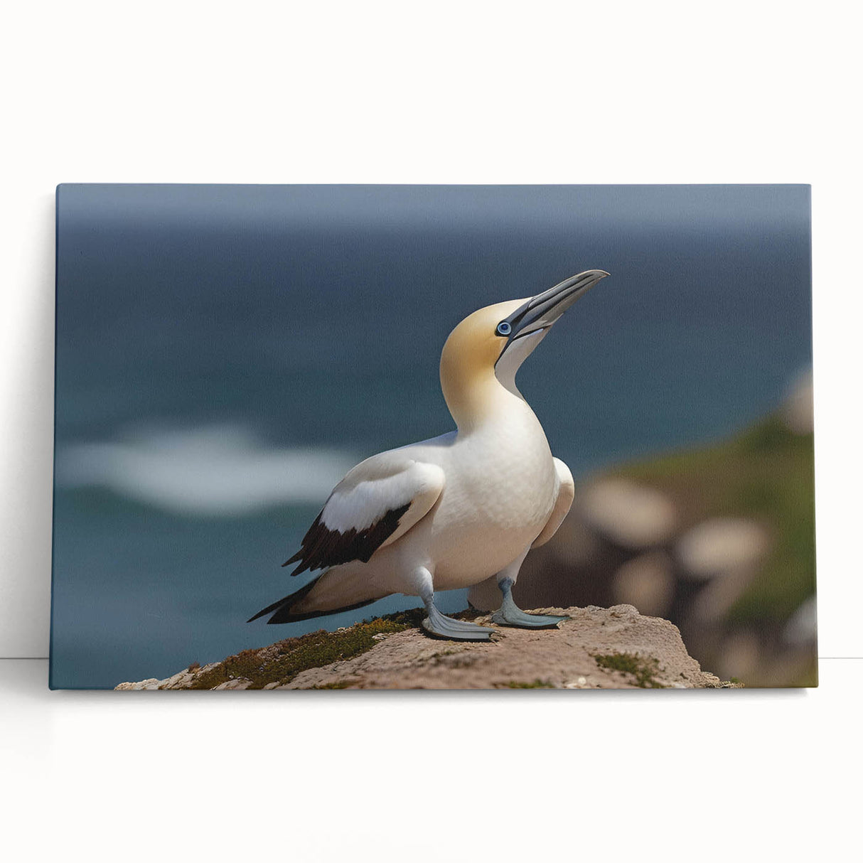 Stretched canvas wall art featuring an array of colorful sea birds perched on a coastal scene, perfect for beach-themed decor. Ideal for adding a vibrant touch to any room.