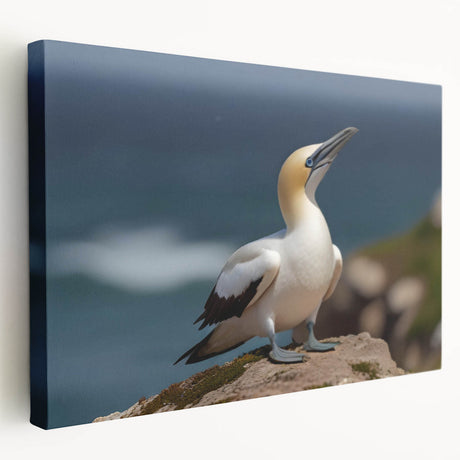 Stretched canvas wall art depicting a vibrant collection of sea birds in various colors, showcasing intricate details and textures, ideal for coastal-themed decor.