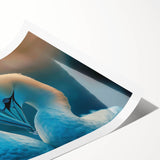Colorful collection of sea bird wall art prints showcasing various bird species in a serene coastal setting, perfect for enhancing home decor.
