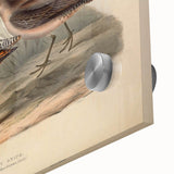 Close-up of a vibrant acrylic glass wall art piece showcasing a collection of colorful shorebirds in a coastal setting, perfect for enhancing home decor.