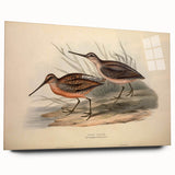 Colorful acrylic glass wall art depicting a serene landscape with various shorebirds, showcasing detailed feather patterns and vibrant hues, ideal for coastal decor.
