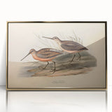 Framed wall art featuring a collection of colorful shorebirds in a coastal setting, with an elegant gold-acrylic frame highlighting the vibrant design.