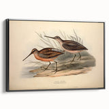 Framed black canvas wall art showcasing a collection of shorebirds in a serene coastal setting, perfect for beach-themed home decor.