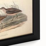 Close-up of a framed canvas featuring a vibrant shorebirds design, showcasing intricate details and colors, perfect for coastal home decor. Ideal for nature lovers.