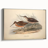 Framed wall art showcasing a collection of shorebirds in a serene coastal setting, featuring silver accents and vibrant colors, ideal for beach-themed decor.