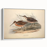 Framed wall art featuring a serene shorebird design on canvas, showcasing elegant coastal colors and textures, perfect for enhancing beach-themed decor.