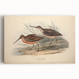 Stretched canvas wall art featuring a vibrant shorebirds design in a tranquil coastal setting, showcasing detailed textures and soft colors, perfect for home decor.