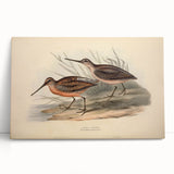 Stretched canvas wall art featuring a collection of colorful shorebirds in a coastal setting, ideal for enhancing home decor with a nature-inspired theme.