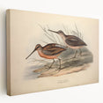 Stretched canvas showcasing a vibrant shorebirds design in a coastal setting, highlighting intricate details and colors, perfect for nature-inspired home decor.