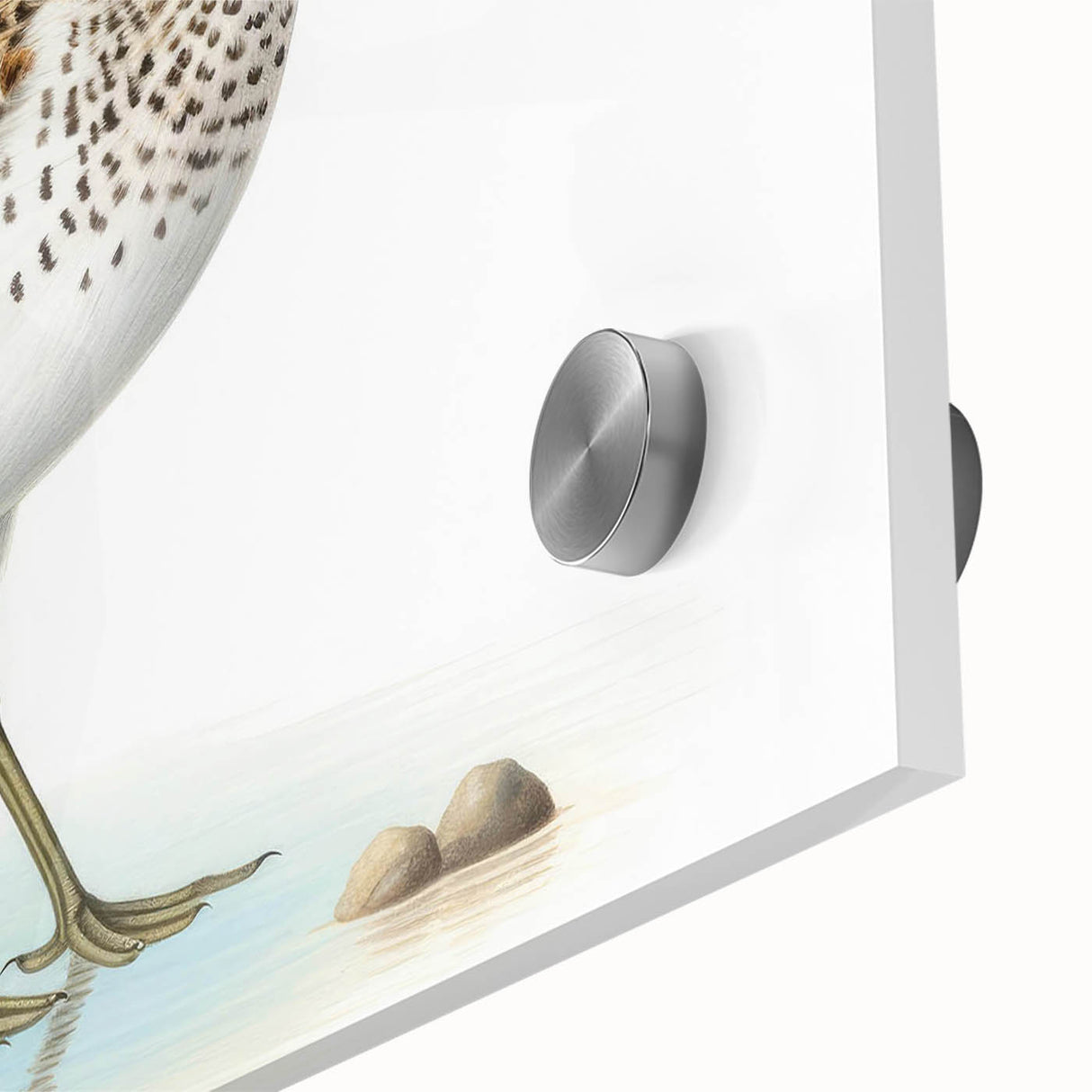 Close-up of a vibrant acrylic glass wall art piece showcasing a detailed design of shorebirds in their natural habitat, ideal for coastal decor enthusiasts. The artwork features intricate colors and textures, enhancing any interior space with a touch of nature-inspired elegance.