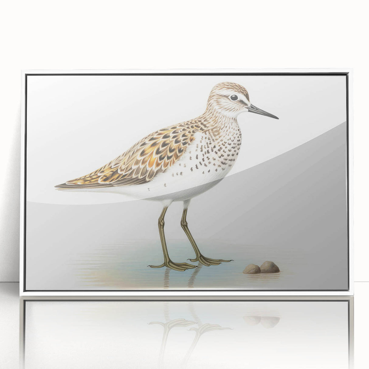 Framed wall art featuring a collection of vibrant shorebirds in various colors, displayed in a white frame, ideal for coastal-themed home decor.