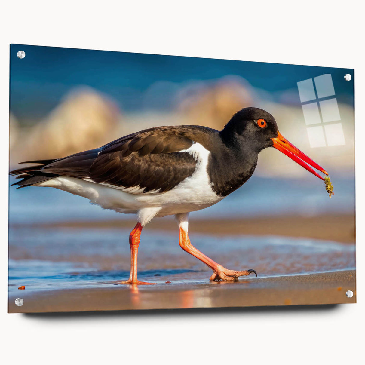 Side view of a modern acrylic wall art piece featuring a vibrant shorebirds design, elegantly displayed with pins, showcasing intricate colors and details.