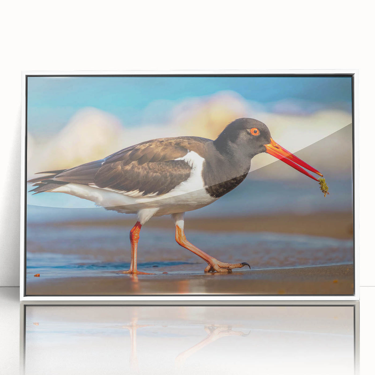 Framed wall art collection showcasing a vibrant design of shorebirds in white acrylic, ideal for coastal-themed decor. Perfect for enhancing living spaces with nature-inspired elements.
