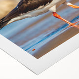 Rolled canvas wall art showcasing a vibrant collection of shore birds in a coastal setting, featuring intricate details and vivid colors, ideal for nature-themed decor.