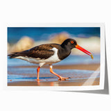 Shorebirds wall art collection featuring three elegant bird designs in soft pastel colors, printed on high-quality canvas, ideal for coastal decor enthusiasts.
