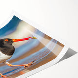 Vibrant rolled print showcasing a collection of shorebirds in a serene coastal setting, featuring detailed illustrations and soft color palette for home decor enhancement. Ideal for bird lovers and nature enthusiasts.
