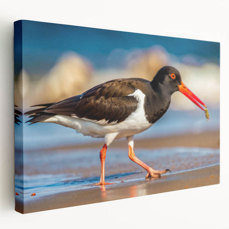 Stretched canvas wall art showcasing a serene collection of shorebird designs in soft pastel colors, ideal for coastal-themed home decor and nature enthusiasts.