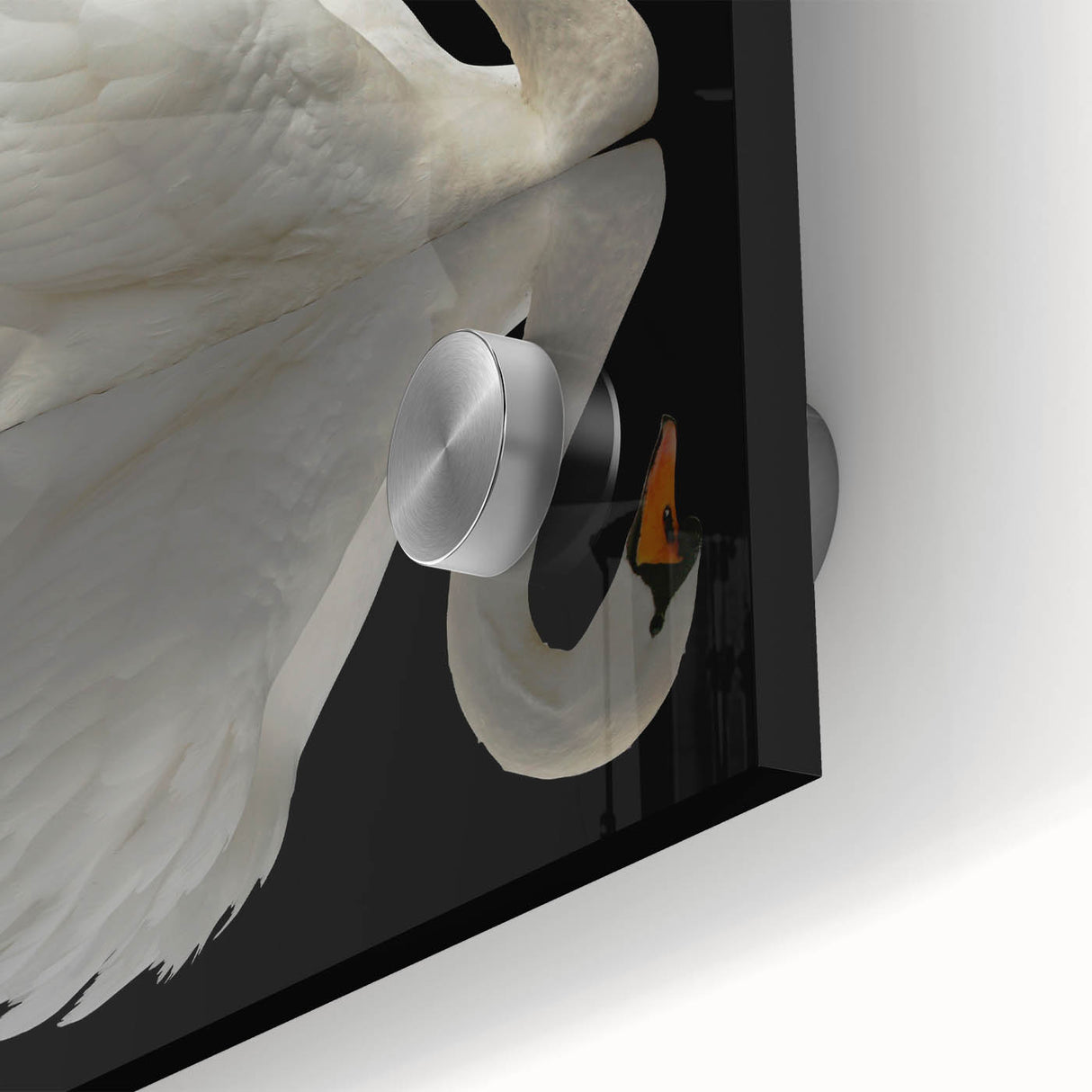 Close-up of a stunning wall art collection featuring graceful swans in an elegant design, printed on acrylic glass with vibrant colors, perfect for contemporary decor.