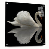 Elegant acrylic wall art featuring a side view of swans in a serene design, meticulously pinned for display, perfect for enhancing modern home decor.
