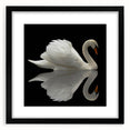 Elegant black-framed wall art showcasing a serene swan design, perfect for enhancing home decor. Ideal for nature lovers and art enthusiasts, this piece adds sophistication to any room.