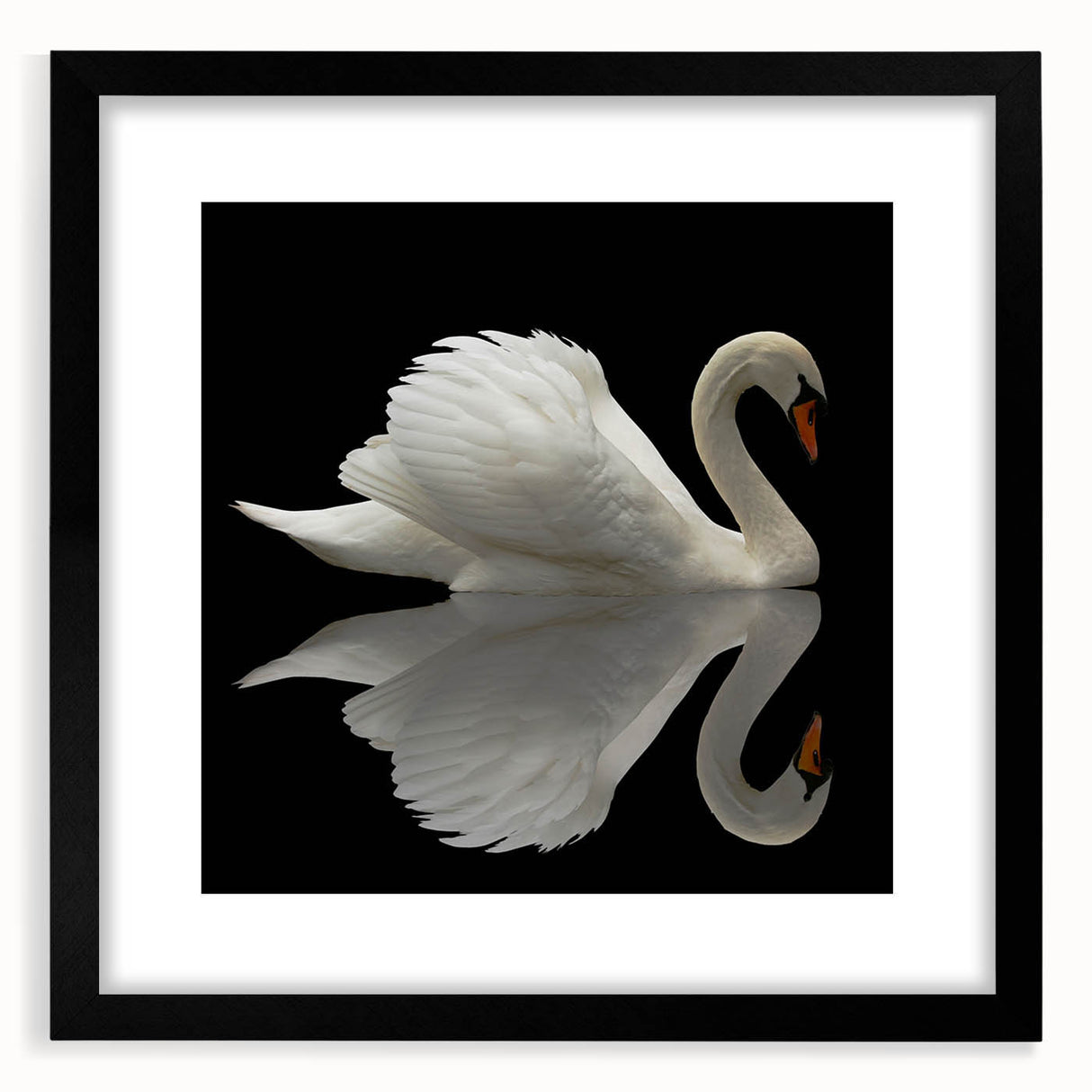 Elegant black-framed wall art showcasing a serene swan design, perfect for enhancing home decor. Ideal for nature lovers and art enthusiasts, this piece adds sophistication to any room.
