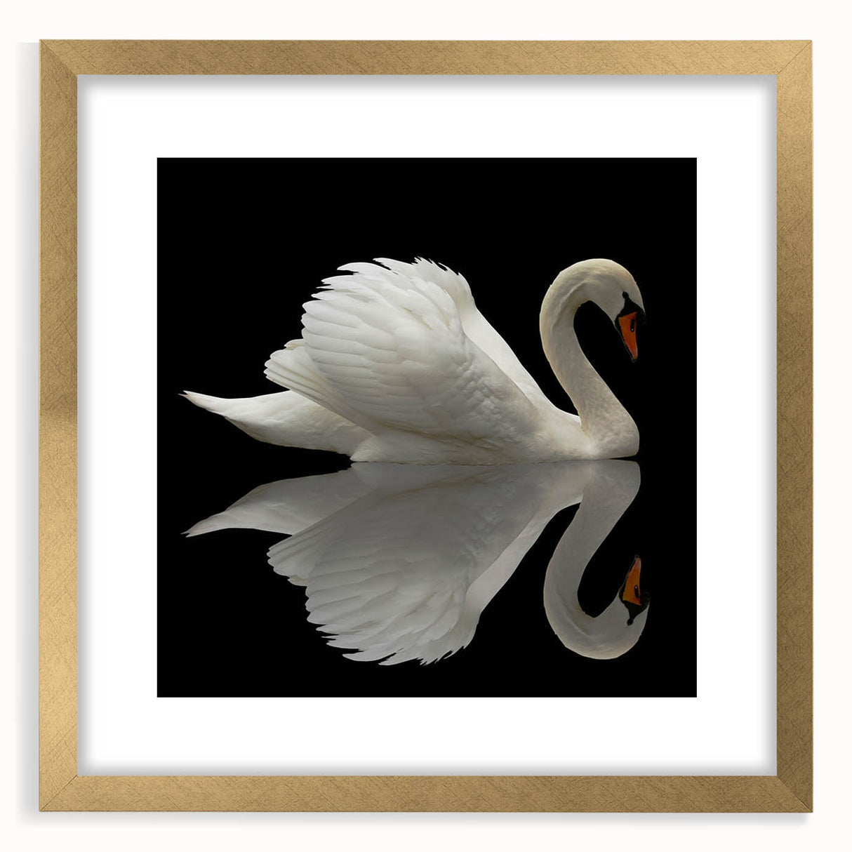 Elegant gold-framed wall art collection showcasing a serene swan design, perfect for home decor. The mat adds a sophisticated touch, enhancing any interior space.