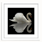 Elegant wall art featuring a white-framed print of swans, showcasing intricate bird designs with a matted finish, perfect for home decor and enhancing interior aesthetics.