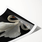 Elegant swan wall art print showcasing intricate black and white designs, rolled for easy framing, perfect for modern home decor. Ideal for nature lovers.