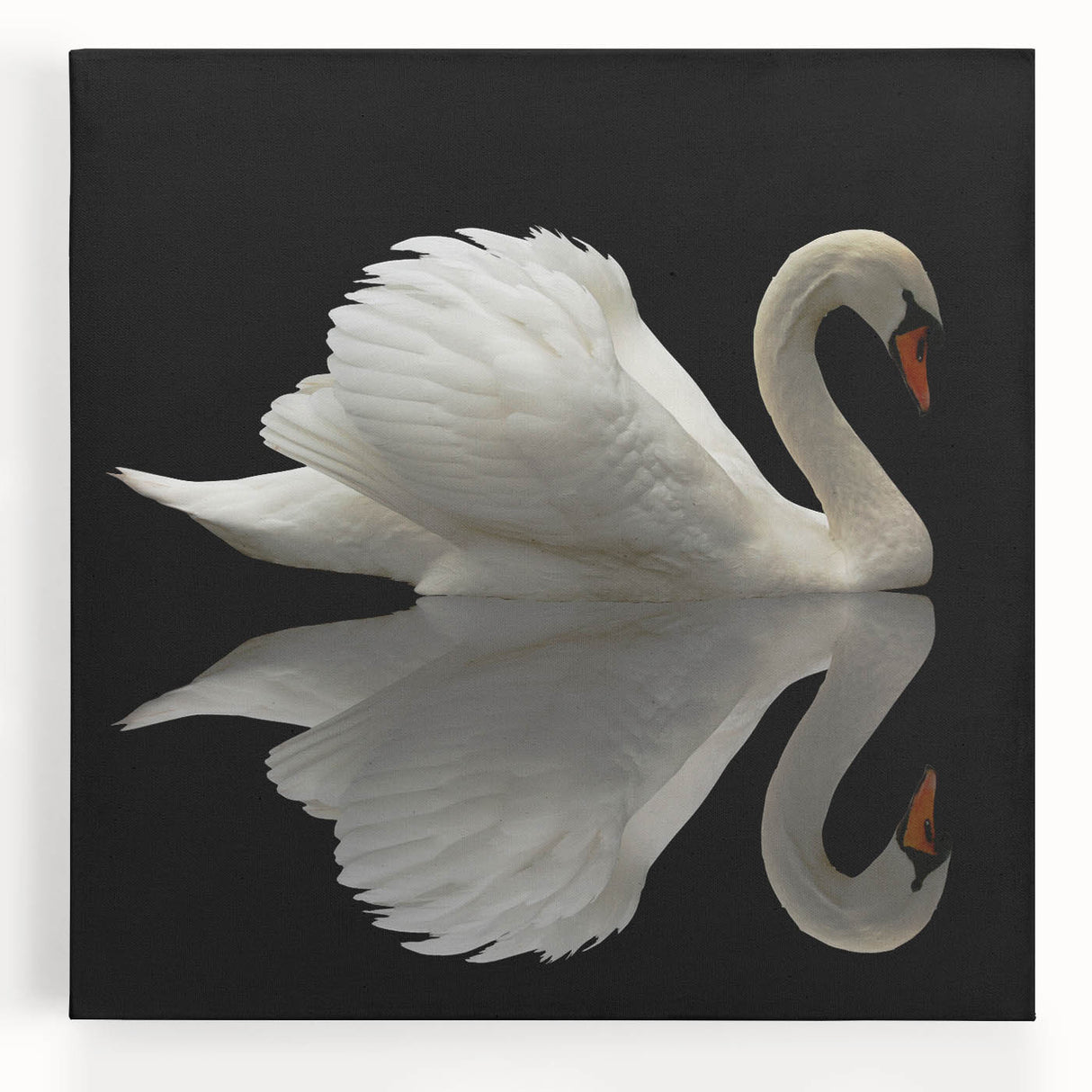 Elegant stretched canvas wall art featuring a serene swan design on a tranquil backdrop, perfect for enhancing modern home decor with nature-inspired elegance.