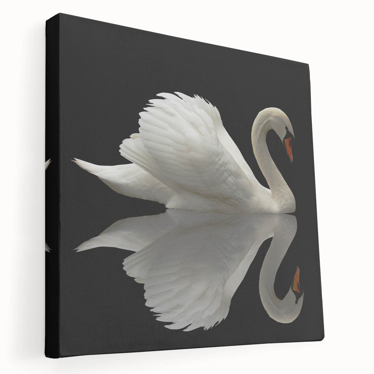 Stretched canvas wall art featuring a serene swan design in soft pastel colors, showcasing graceful lines and elegant details, perfect for home decor.